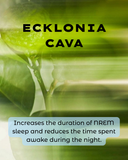 Ecklonia Cava: The Deep-Sea Algae That Actually Improves Sleep Architecture (Not Just Sedation)