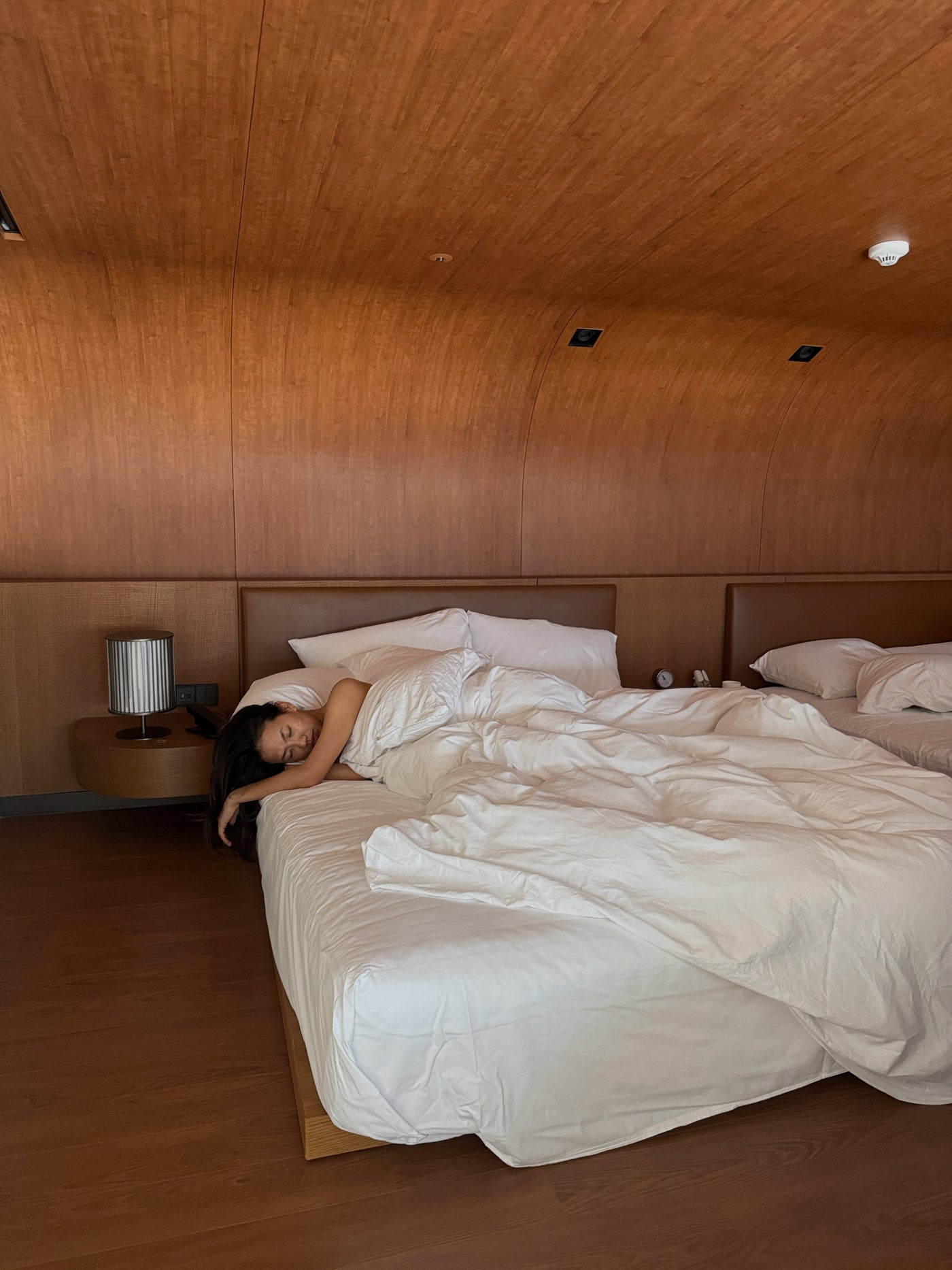 The science of sleep
